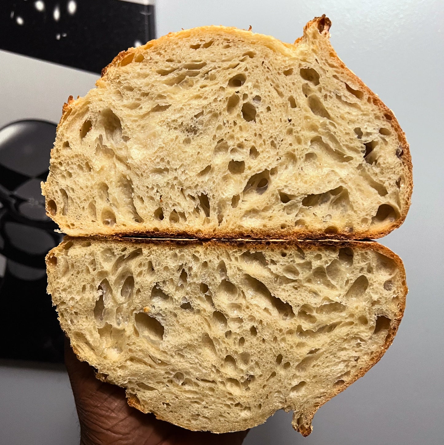 Artisan Specialty Sourdough Bread Loaf