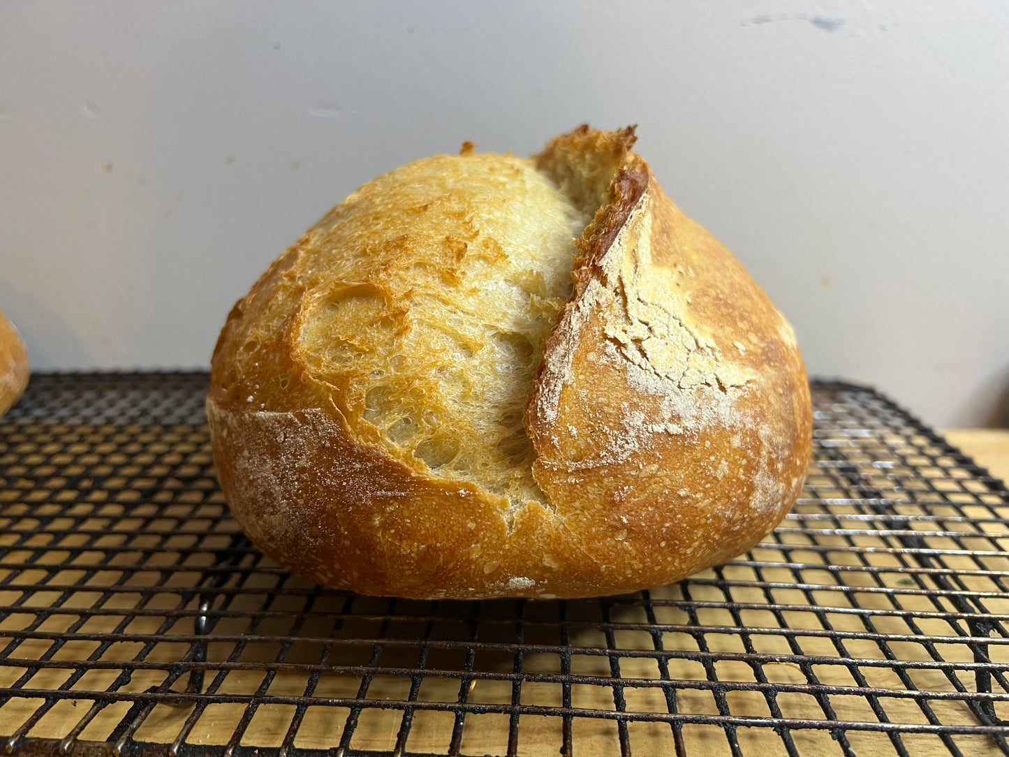Artisan Specialty Sourdough Bread Loaf